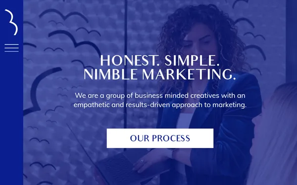 img of B2B Digital Marketing Agency - Bluebird Creative Company